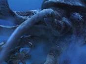 Rebeller Contre 6ème Extinction