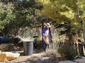 Fermeture saisonnière jardin