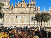 Nouveau menu Info dans l'application Google Photos