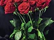 avis Périlleuse situation, 2ème tome saga théorie tombeur Lauren Layne