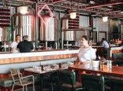 Craft beer gouvernement Queensland crie cours TAFE fabrication bière Bière brune