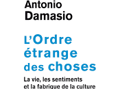 L'ordre étrange choses d'Antonio Damasio