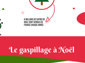 bilan écologique (pas très vert) Noël