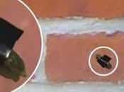 L'oeuvre artistique semaine