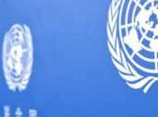 L'ONU décrète comme «Journée mondiale d'échecs» juillet