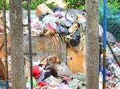 Craft beer Terrains ordures: service routier doit retrouver droits Bière brune