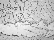 larmes travers microscope