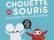 L’extraordinaire voyage Chouette Souris pays contraires: pop-up Joohye