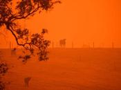 images donnent l’Australie d’apocalypse