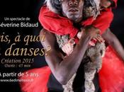 quoi danses Compagnie dimension Centre Culturel Sillon- Pleubian, février 2020
