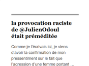 L'ignoble provocateur raciste ségrégationniste nommé @JulienOdoul