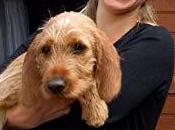 News Découvrez nouvelle auteure francophone présente Festival Roman Féminin