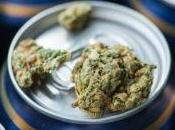 Info bière partenariat cultivateur marijuana avec brasseur artisanale permet d’économiser l’argent rend l’entreprise plus respectueuse l’environnement Bière noire