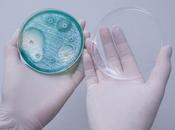 ÉVOLUTION microbiome intestinal témoigne modes