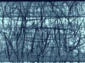 (Feuilleton) Dans forêt jours Jacques Robinet,