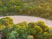 Afrique cabane dans arbres pour dormir brousse