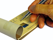 dollar digital pour l'inclusion financière