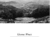 Livane Pinet soleil rapprochait]