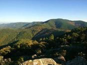 France Massif Maures