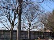 News bière Détendez-vous avec profitez café plein Bell’s Brewery’s Kalamazoo, Michigan. Bière blonde