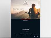 Mise Place Stratégie Site Internet Hotel Agence Webmarketing Bayonne