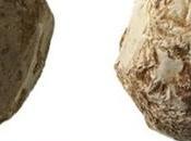 archéologues proposent explication pour pierres sphériques préhistoriques
