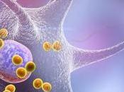 PARKINSON maladie auto-immune