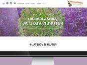 Publicité Site Internet Immobilisation Agence Webmarketing Mans