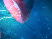 DÉCLIN COGNITIF Réparer l’ADN neurones pour redonner plasticité