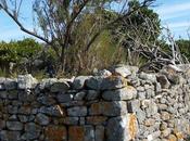 d'ailleurs guérir d'ici