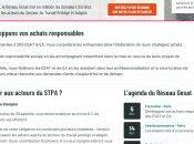 Création Site Internet Netflix Agence publicité internet Perpignan