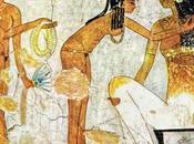 L'odyssée papier toilette