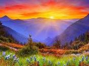 nouvelle journée inestimable