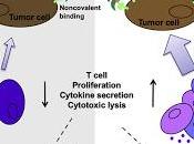 #Cell #protéinemédicament #iaisoncovalente Développement Protéines Médicament Liaison Covalente Thérapeutique Réactive Proximité Spatiale