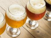 Info bière consommateurs aiment bière, quelle soit source d’amertume Malt