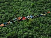 Divers Photos Yann Arthus-Bertrand