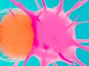 OBÉSITÉ CANCER adipocytes libèrent plus vésicules toxiques