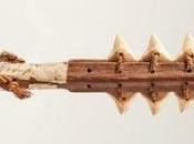 musées britanniques collection Davis