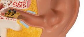 Soudain, j’entends beaucoup mieux