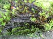 trop vent derrière?