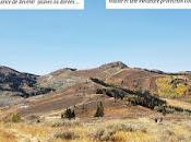 Quand trop chaleur couleurs d’automne