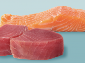 Thon saumon: plus sain?