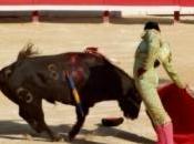 tribune surchargée s'écroule pleine corrida vidéo)