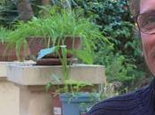 analyse percutante discours Macron instaurant confinement...