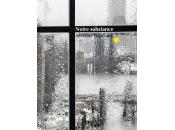 (Poezibao reçu) vitrine poésie samedi novembre 2020, nouvelles parutions