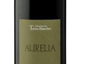 comme hiver… vins Provence