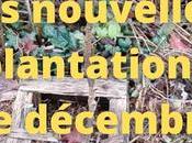 nouvelles plantations décembre (vidéo)