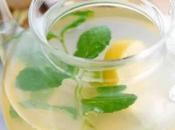 Infusion citron gingembre menthe thermomix
