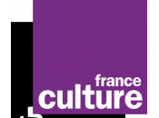 Justice climatique Arnaud Gossement invité matinale France culture