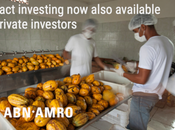 Amro démocratise l'investissement impact